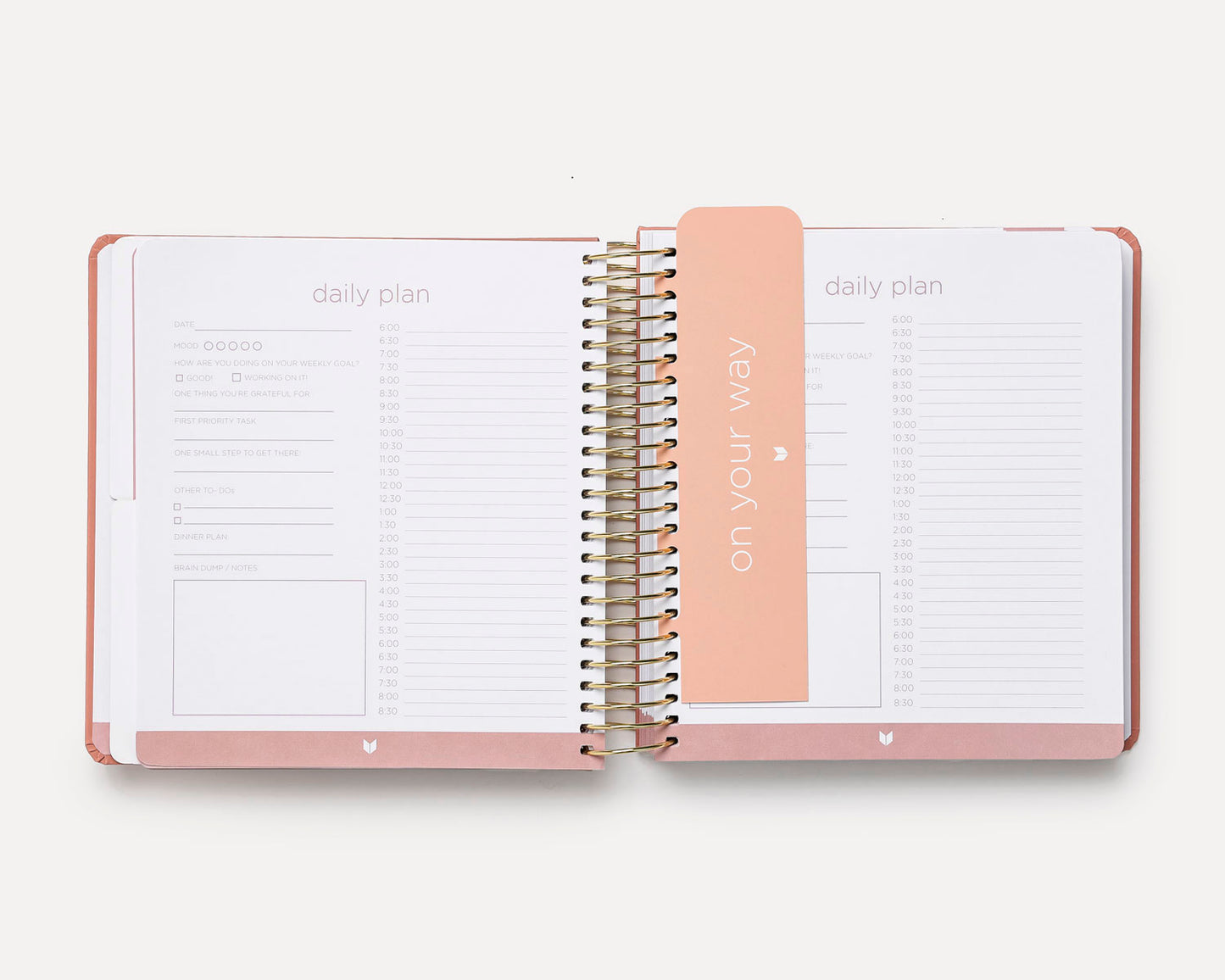 Premium 6 Month Planner