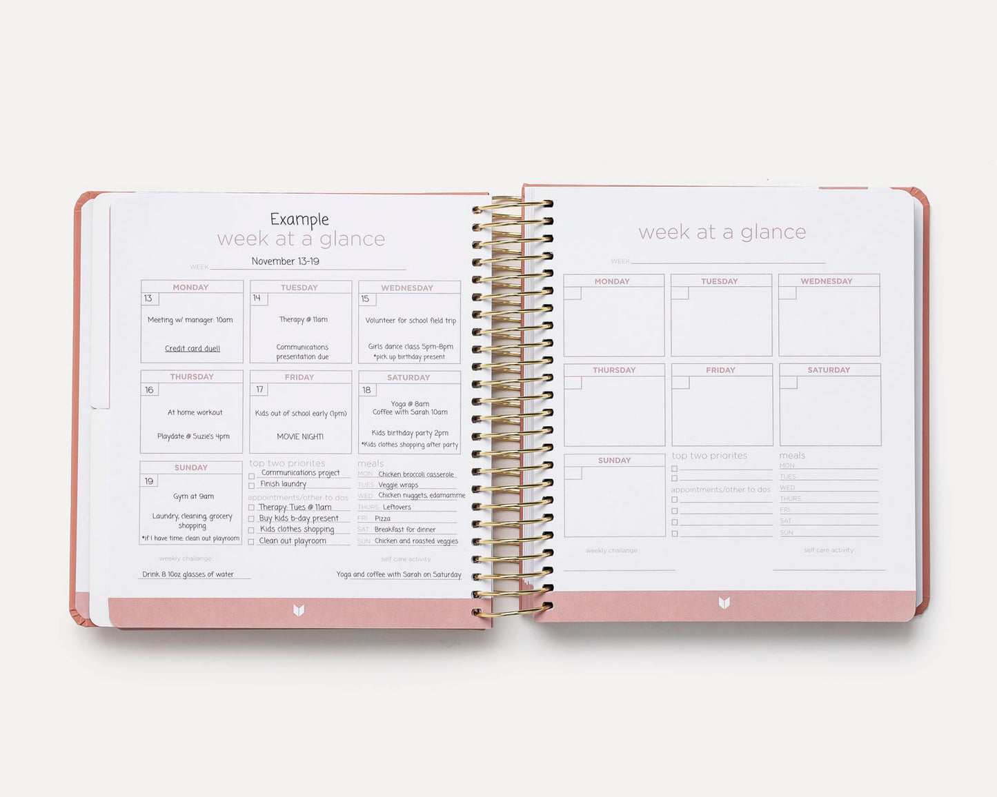 Premium 6 Month Planner